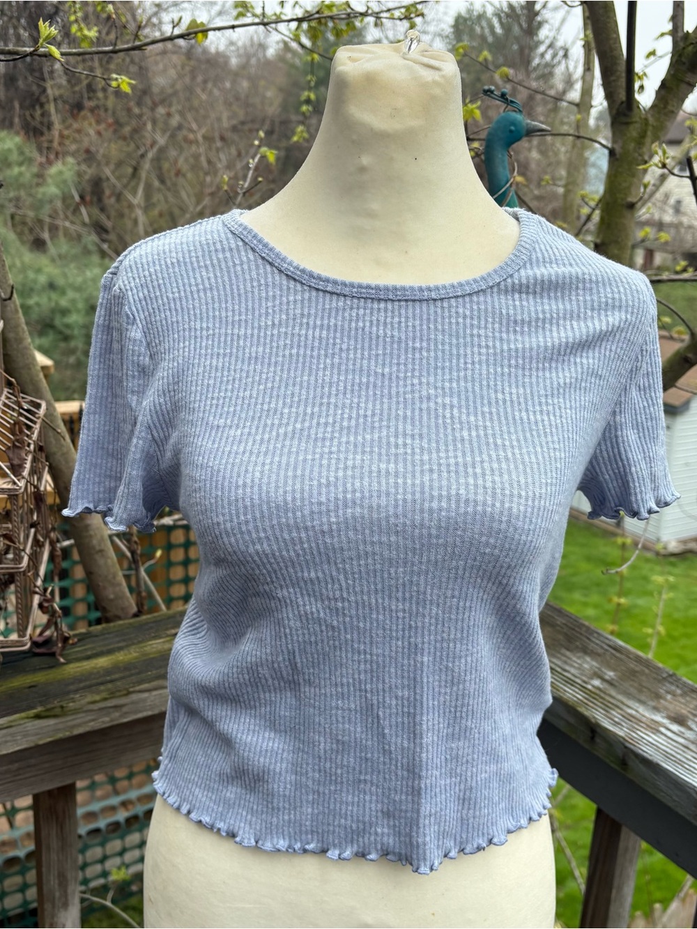 NWT American Eagle Blue Ribbed Crop Top Women’s Size Medium